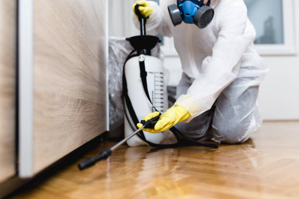 Best Best Pest Control Companies  in Piedmont, AL