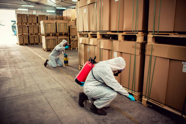 Best Cockroach Control Services  in Piedmont, AL