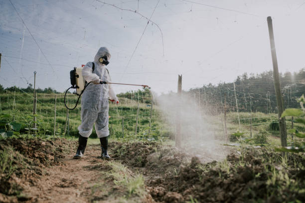 Best Pest Removal Services  in Piedmont, AL