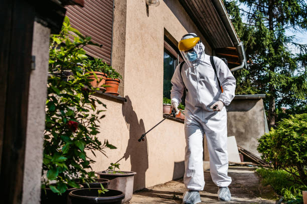Best Affordable Pest Control Services  in Piedmont, AL