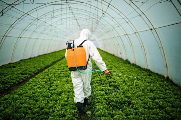 Best Commercial Pest Control Services  in Piedmont, AL