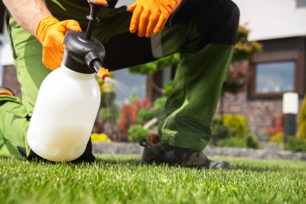 Flea Control Services in Piedmont, AL