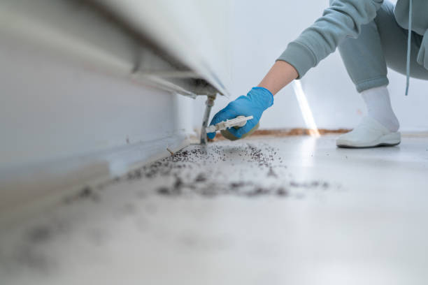 Best Affordable Pest Control Services  in Piedmont, AL