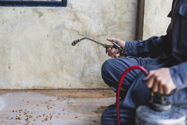 Best Pest Inspection Near Me  in Piedmont, AL